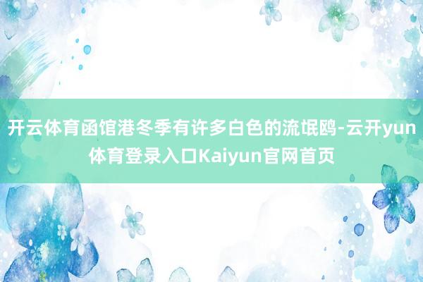 开云体育函馆港冬季有许多白色的流氓鸥-云开yun体育登录入口Kaiyun官网首页