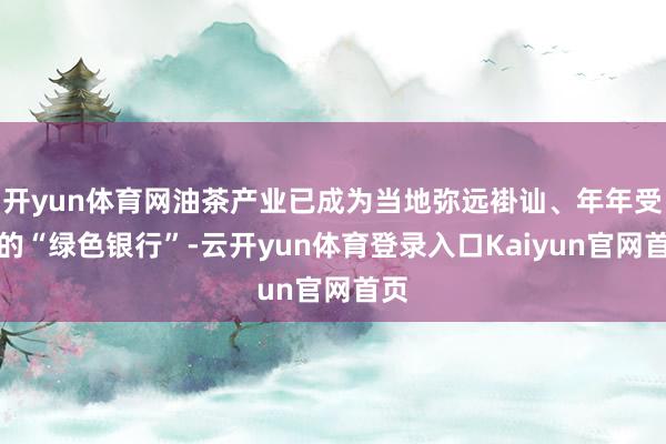 开yun体育网油茶产业已成为当地弥远褂讪、年年受益的“绿色银行”-云开yun体育登录入口Kaiyun官网首页
