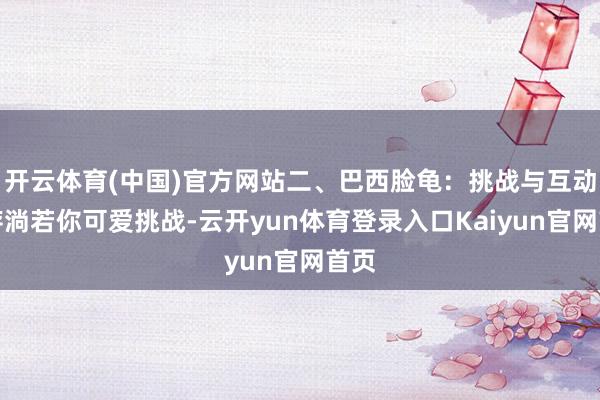 开云体育(中国)官方网站二、巴西脸龟：挑战与互动并存淌若你可爱挑战-云开yun体育登录入口Kaiyun官网首页