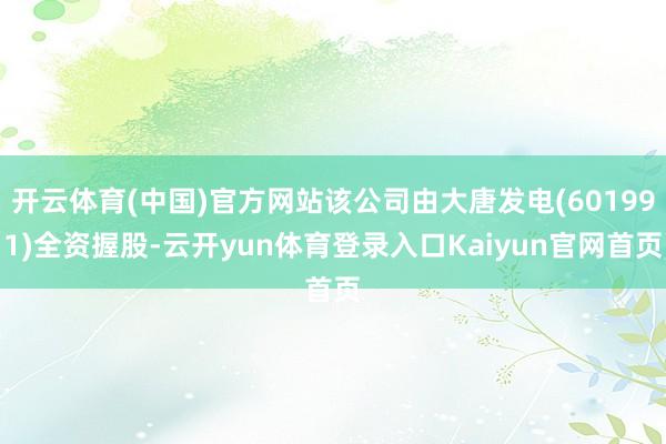 开云体育(中国)官方网站该公司由大唐发电(601991)全资握股-云开yun体育登录入口Kaiyun官网首页