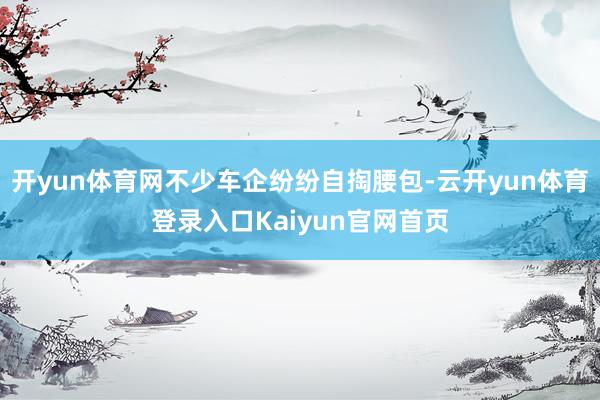 开yun体育网不少车企纷纷自掏腰包-云开yun体育登录入口Kaiyun官网首页