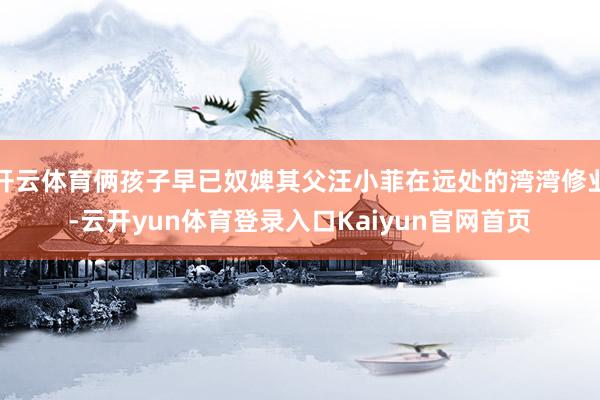 开云体育俩孩子早已奴婢其父汪小菲在远处的湾湾修业-云开yun体育登录入口Kaiyun官网首页