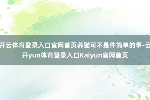 开云体育登录入口官网首页养猫可不是件简单的事-云开yun体育登录入口Kaiyun官网首页