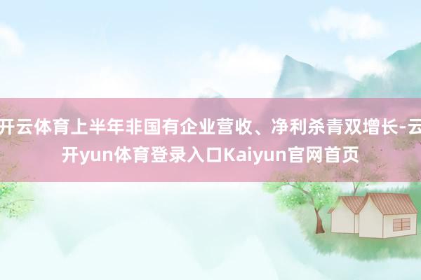 开云体育上半年非国有企业营收、净利杀青双增长-云开yun体育登录入口Kaiyun官网首页