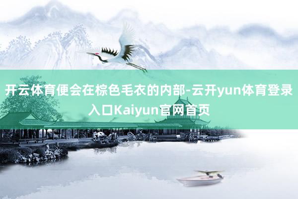 开云体育便会在棕色毛衣的内部-云开yun体育登录入口Kaiyun官网首页
