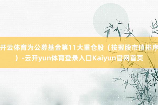 开云体育为公募基金第11大重仓股（按握股市值排序）-云开yun体育登录入口Kaiyun官网首页