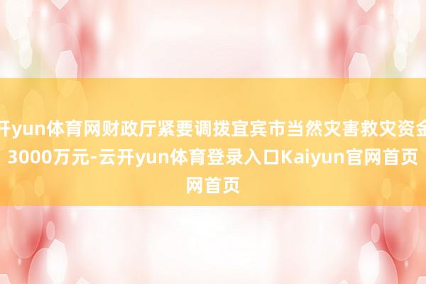 开yun体育网财政厅紧要调拨宜宾市当然灾害救灾资金3000万元-云开yun体育登录入口Kaiyun官网首页